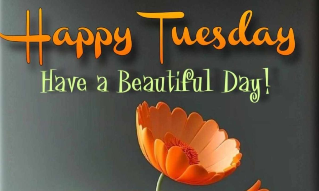 Happy Tuesday 50+ powerful blessings to brighten your day